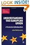 Understanding the European Union: A Concise Introduction (The European Union Series)