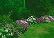 Impatiens Border Seed Garden Mat - Instant Garden, Roll N Grow - Seeded Mat - Just Roll and Grow! (Easy & Hassle Free!) Plant in garden or family yard!