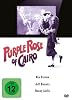 Purple Rose of Cairo (DVD)