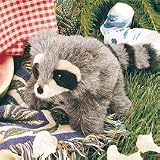アライグマ ハンドパペットの画像