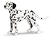 Schleich Male Dalmatian
