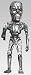 Hollywood Collectibles - Terminator 2 statuette Xtreme Dform Endoskeleton 23 cm_s-1