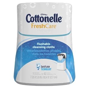 Cottonelle Fresh Care Flushable Moist Wipes Upright Dispenser, 42 Count (Pack of 2)