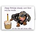 Dachshund Birthday Card