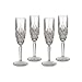Marquis by Waterford Brookside 8-Ounce Champagne Flutes, Set of 4