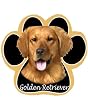 Golden Retriever Dog Paw Mouse Pad