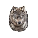 World Stickers Schwandt Heimtierbedarf 12804 Aufkleber 4 St&uuml;ck ca. 80 x 80 mm f&uuml;r Warnschild Wolf