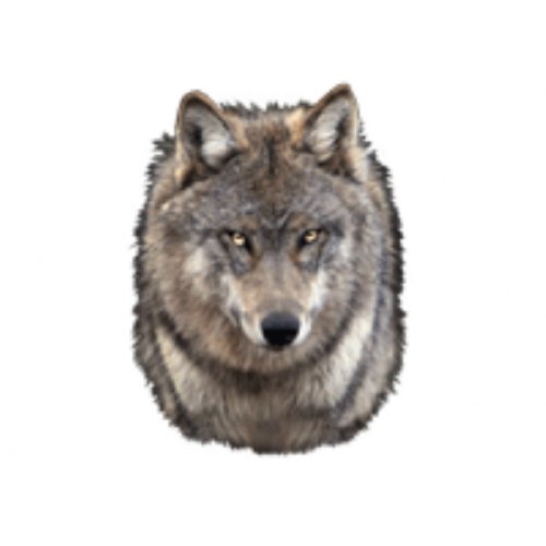 World Stickers Schwandt Heimtierbedarf 12804 Aufkleber 4 St&uuml;ck ca. 80 x 80 mm f&uuml;r Warnschild Wolf
