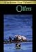 Otters: Monterey Bay Relaxing Nature Video/Nature Sounds