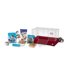 Super Pet My First Home Complete Guinea Pig Kit, Burgundy Super Pet My First Home Complete Guinea Pig Kit, Burgundy
