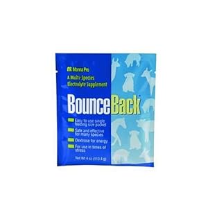 Manna Pro 0094130249 Bounce Back Multi-Species Electrolyte Supplement for Pets, 4-Ounce