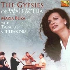The Gypsies of Wallachia