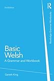 Basic Welsh : a grammar and workbook
