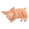 Pig Product Phobia