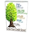 101 Powerful Ways To Improve Credit Score, Plus 2 Free Bonus Books 