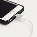 Pangea Audio Lightning to USB A - White/Silver/White Braid - Metal Connectors - 6 Foot