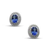 14K Exquisite Tanzanite and Diamond Earring (NEW ARRIVAL)
