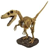 Dino Dig - Velociraptor
