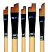 Black Gold Butterfly by Dynasty - 206BCS - Complete Set of 5 brushes !
