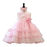 ベビードレス 009901 結婚式 セレモニー ノースリーブ ドレス セレモニー フォーマル 赤ちゃん お宮参り ティアードスカート [プリンセスセレクション] Princess Selection 