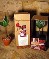 Leaf Boxed Topiary Flower Pen
