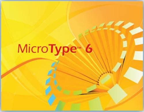 MicroType 6 Windows Network Site License DVD (with Quick Start Guide) (Century 21 Keyboarding)