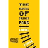 the misadventures of sulliver pong