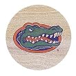 Thirstystone Natural Sandstone Set of 4 Coasters University of Florida