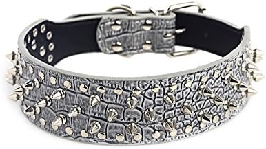 AM MARCH 19"-22" Grey crocodile Faux Leather Spiked Studded Dog Collar 2" Wide, 37 Spikes 60 Studs