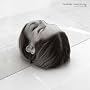 Trouble Will Find Me (2LP) ~ The National
