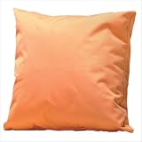 Accent Cushion Size: Large, Cushion: Orange Accent Cushion Size: Large, Cushion: Orange