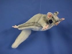 SUGAR GLIDER PLUSH TOY