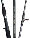Shimano&reg; 2-Pc. FX Spinning Rod