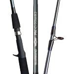 Shimano® 2-Pc. FX Spinning Rod