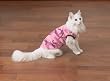 Cat Shirt - Pink Camo Tank for the Adventurous Cat - Small