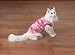 Cat Shirt -Savvy Tabby Camo Tank - Pink - Small