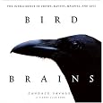 Bird Brains: The Intelligence of Crows, Ravens, Magpies, and Jays