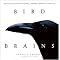 Rare and Funny Birds