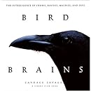Amazon.com: Bird Brains: The Intelligence of Crows, Ravens, Magpies