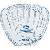 SPALDING(スポルディング) キャチングトレーニングボード・L SPG-1152L