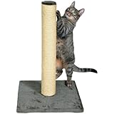 TRIXIE Pet Products Parla Scratching Post, Gray
