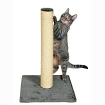 TRIXIE Pet Products Parla Scratching Post, Gray
