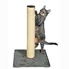 Trixie Parla Scratching Post, 62 cm, Platinum Grey