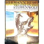 Treatise on the Steppenwolf - An Artist's revelation in fourty-five paintings book cover