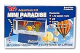 Mini Paradise 1/2gal Tank Kit