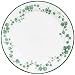 Corelle Impressions 10-1/4-Inch Dinner Plate, Callaway