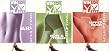 Winsor Pilates 3 DVD Total Body Set (Ab Sculpting, Bun & Thigh Sculpting, Upper Body Sculpting)