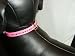 Beverly Dog Collar Pink 8