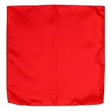 Review Forzieri  / Forzieri Red Silk Pocket Square