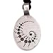 Fibonacci Fractal Chaos Math Pewter Pendant Necklace